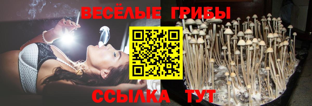 Псилоцибиновые грибы MAGIC MUSHROOMS Новоуральск